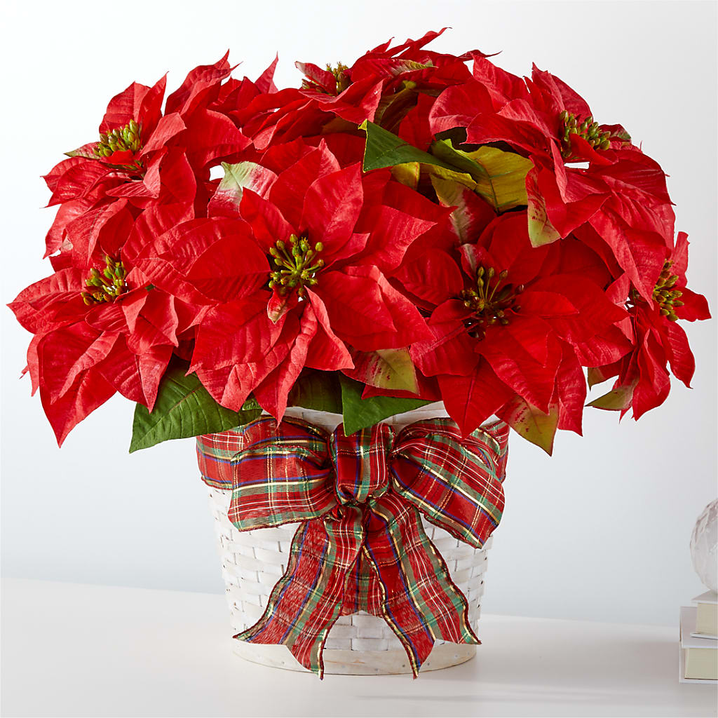 Happiest Holidays Poinsettia – Zapateria Y Floreria Hernandez, San Jose CA