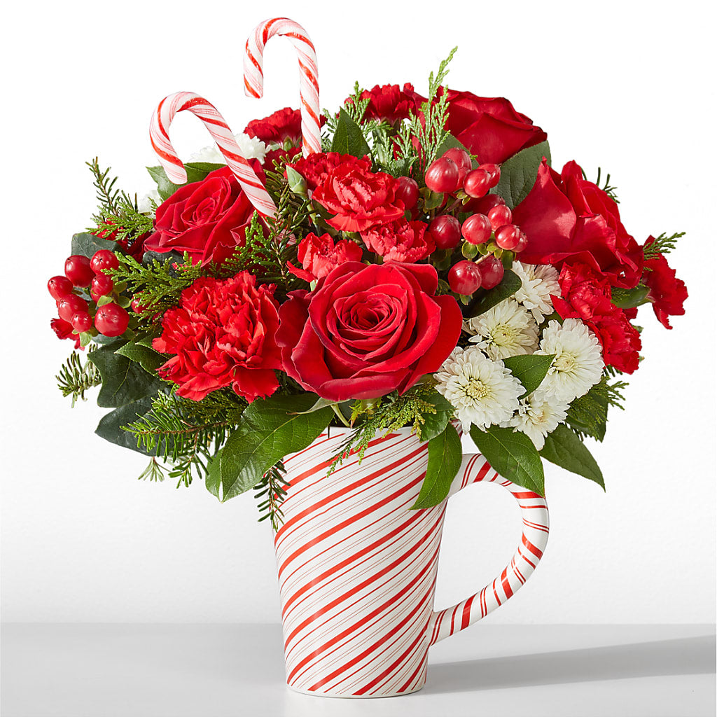 Peppermint Swirl Mug – Zapateria Y Floreria Hernandez, San Jose CA