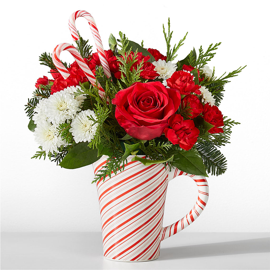 Peppermint Swirl Mug – Zapateria Y Floreria Hernandez, San Jose CA