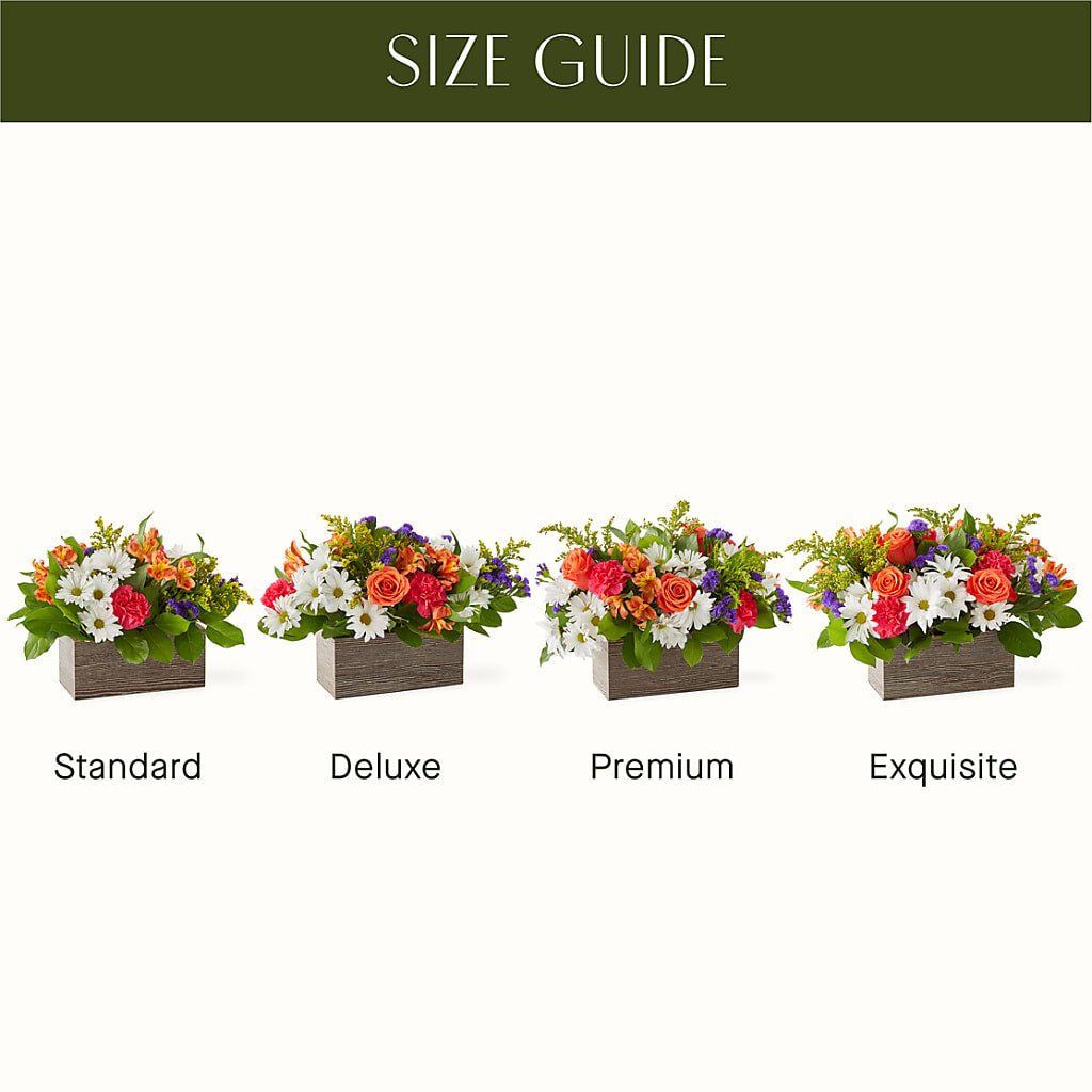 Oopsie Daisy Box Bouquet – Zapateria Y Floreria Hernandez, San Jose CA