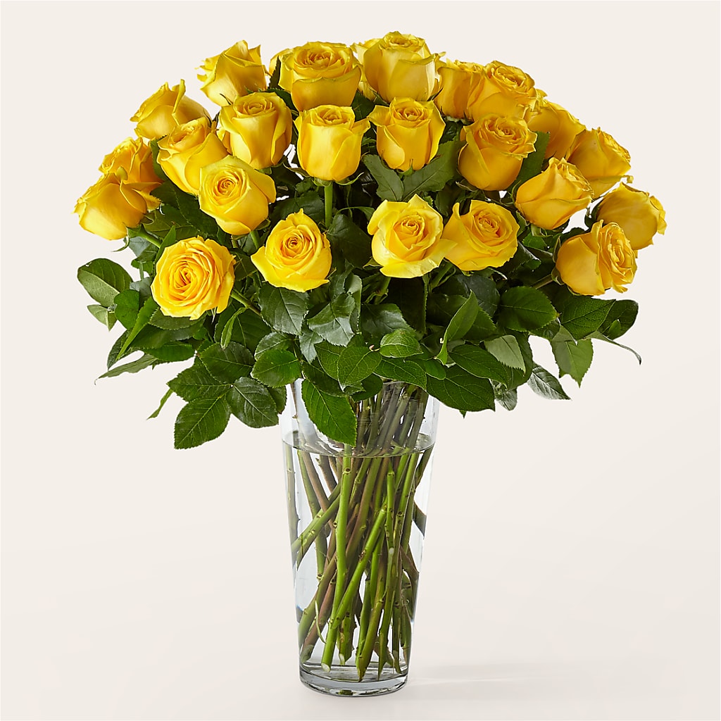 Long Stem Yellow Rose Bouquet – Zapateria Y Floreria Hernandez, San Jose CA