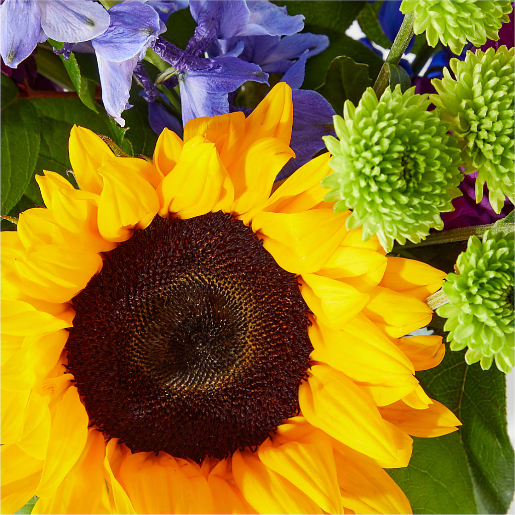 Catching Rays Bouquet – Zapateria Y Floreria Hernandez, San Jose CA