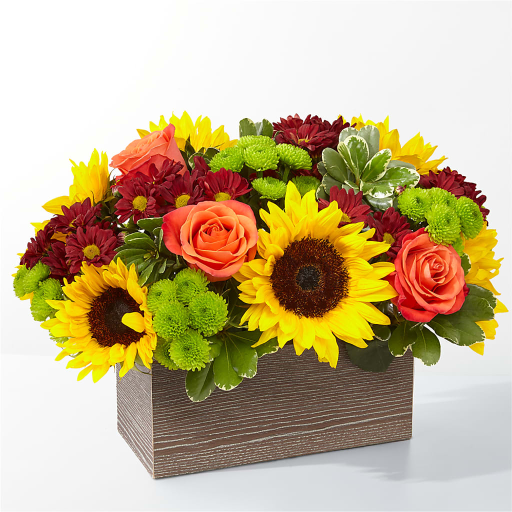 Happy Harvest Garden – Zapateria Y Floreria Hernandez, San Jose CA