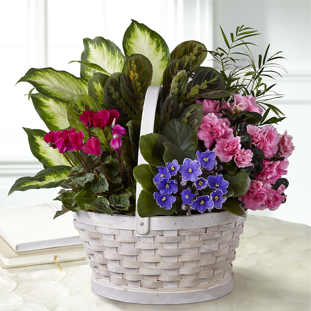 Peaceful Garden Planter – Zapateria Y Floreria Hernandez, San Jose CA