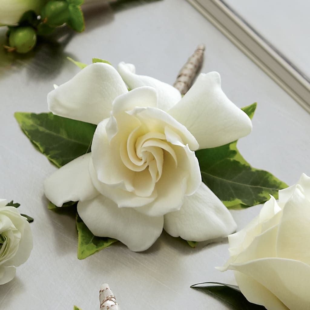 Gardenia Boutonniere – Zapateria Y Floreria Hernandez, San Jose CA
