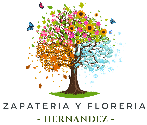 Zapateria Y Floreria Hernandez