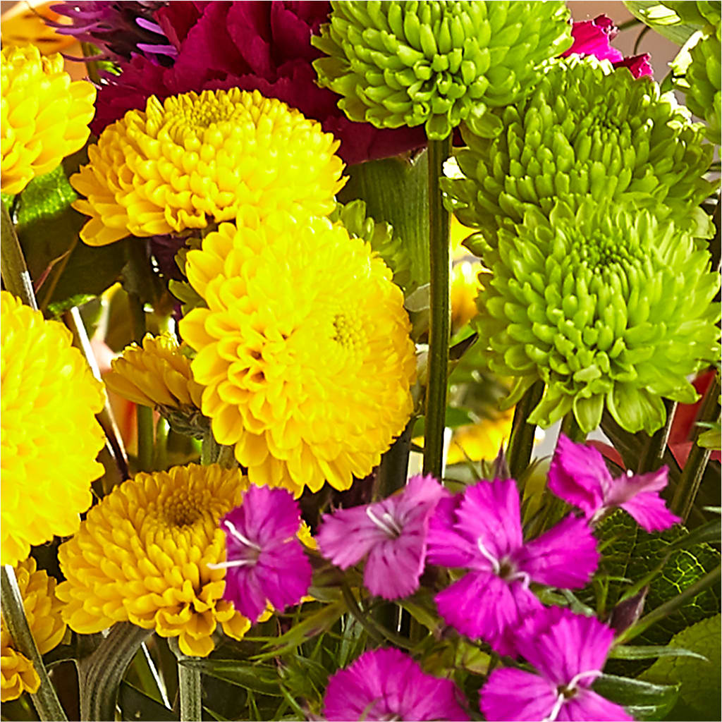 Bold & Bright – A Florist Original –  Zapateria Y Floreria Hernandez, San Jose CA