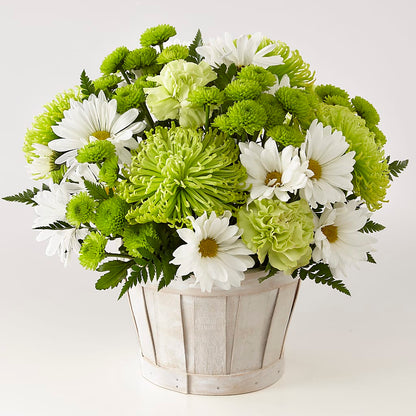 Lucky Charm Basket (Standard) –  Zapateria Y Floreria Hernandez, San Jose CA
