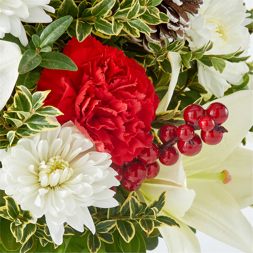 Festive Moments Tree –  Zapateria Y Floreria Hernandez, San Jose CA