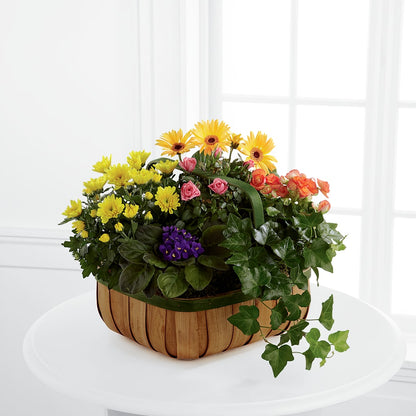 Gentle Blossoms Basket –  Zapateria Y Floreria Hernandez, San Jose CA