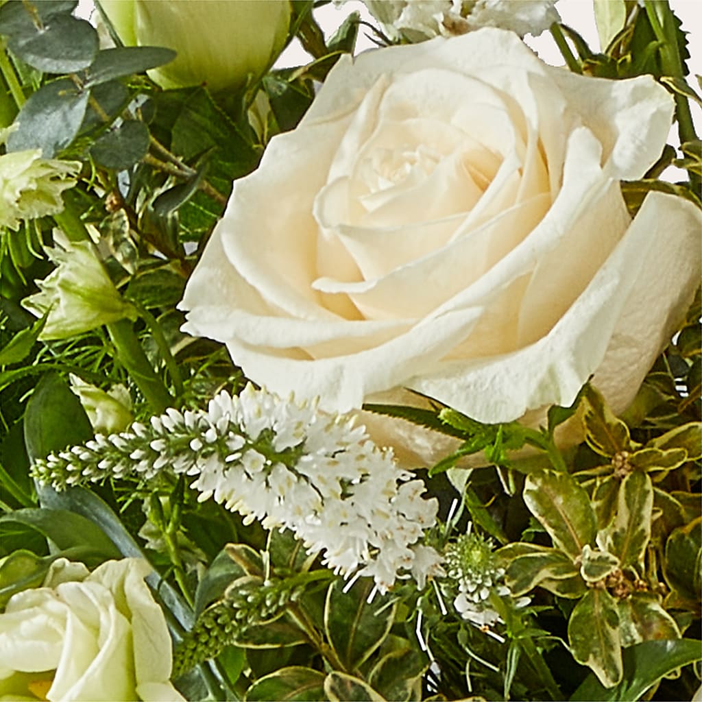 Cashmere Bouquet –  Zapateria Y Floreria Hernandez, San Jose CA