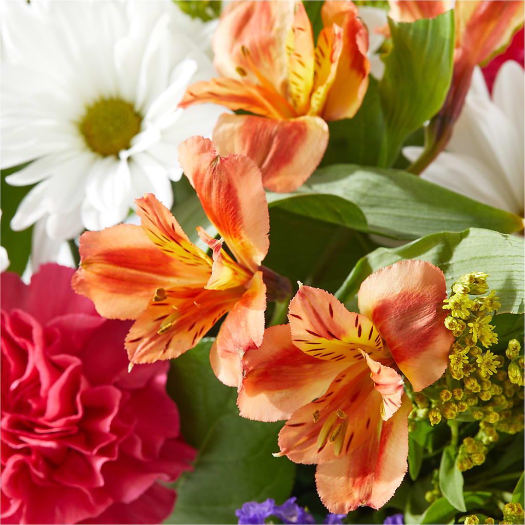 Oopsie Daisy Box Bouquet –  Zapateria Y Floreria Hernandez, San Jose CA