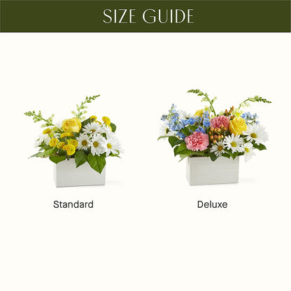 Sun Salutation Box Bouquet –  Zapateria Y Floreria Hernandez, San Jose CA