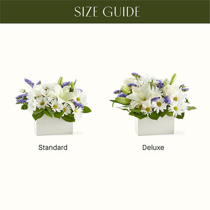Beyond Blue Box Bouquet –  Zapateria Y Floreria Hernandez, San Jose CA