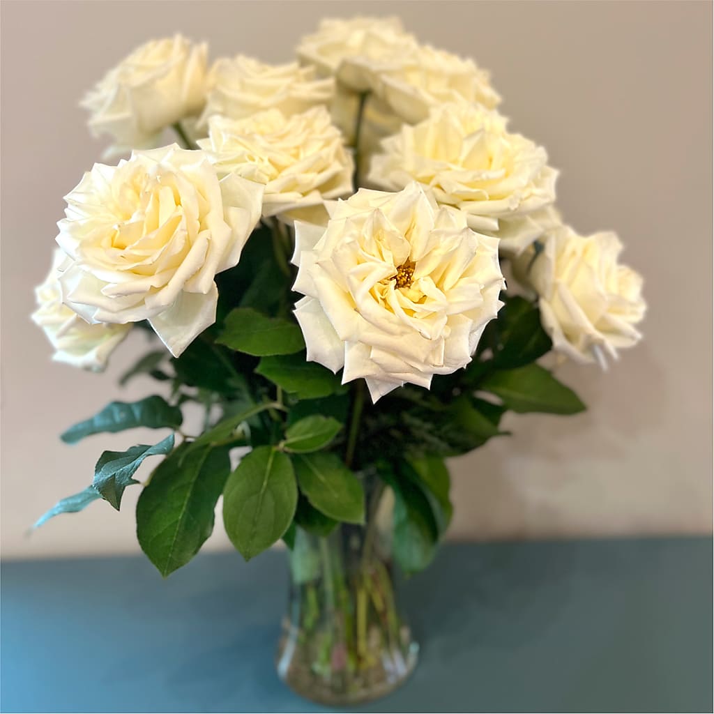 Long Stem Yellow Rose Bouquet –  Zapateria Y Floreria Hernandez, San Jose CA