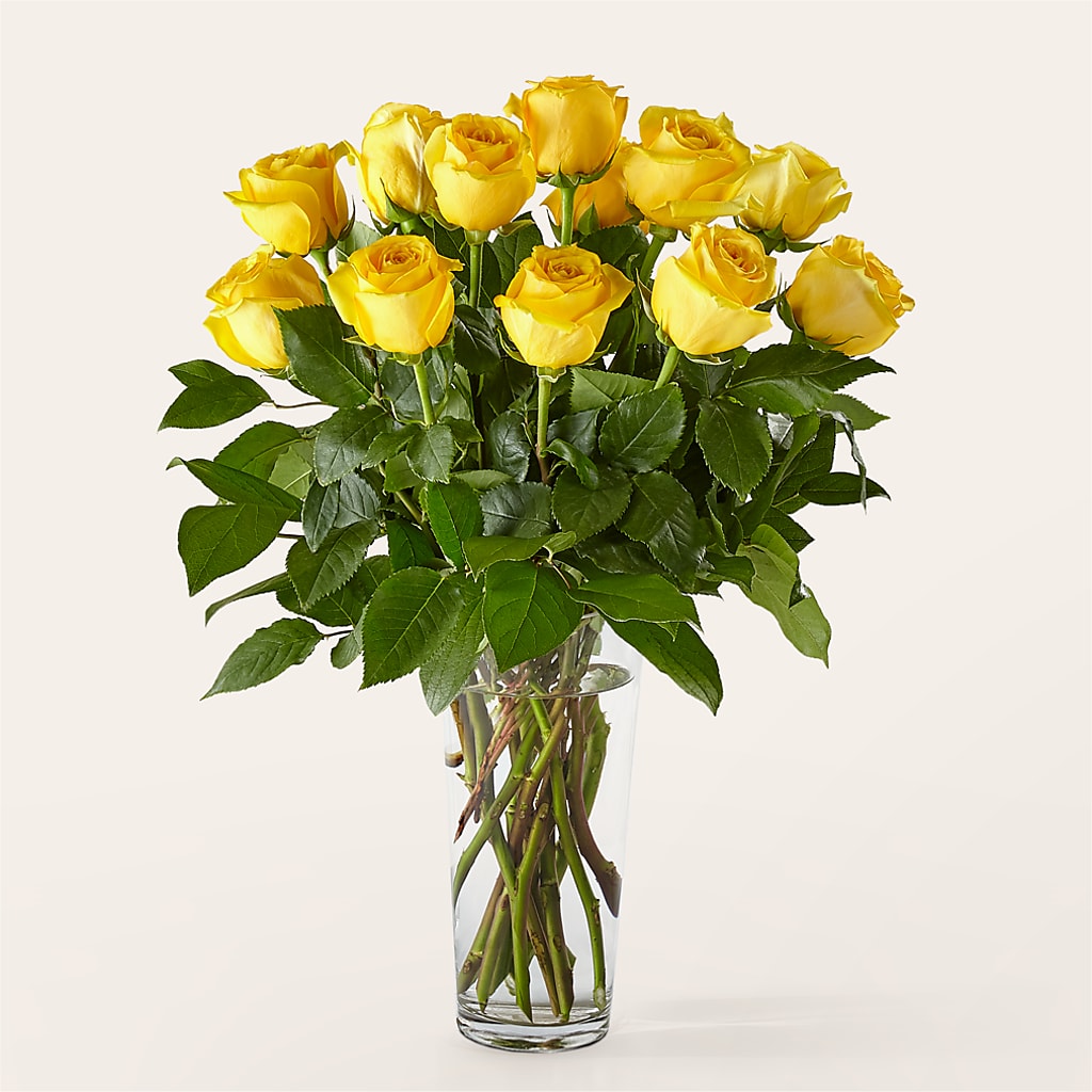 Long Stem Yellow Rose Bouquet –  Zapateria Y Floreria Hernandez, San Jose CA