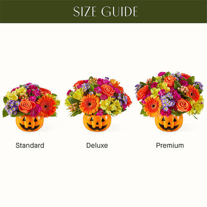 Tricks & Treats Pumpkin –  Zapateria Y Floreria Hernandez, San Jose CA