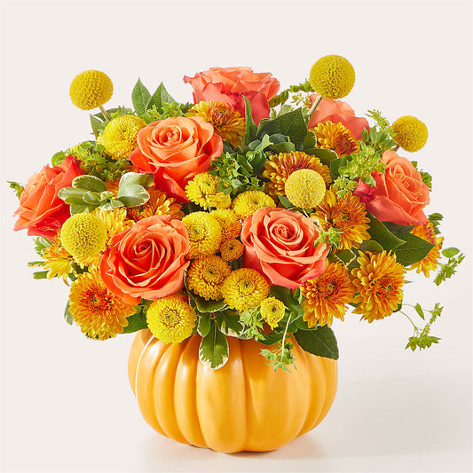 Gourdgeous Pumpkin –  Zapateria Y Floreria Hernandez, San Jose CA