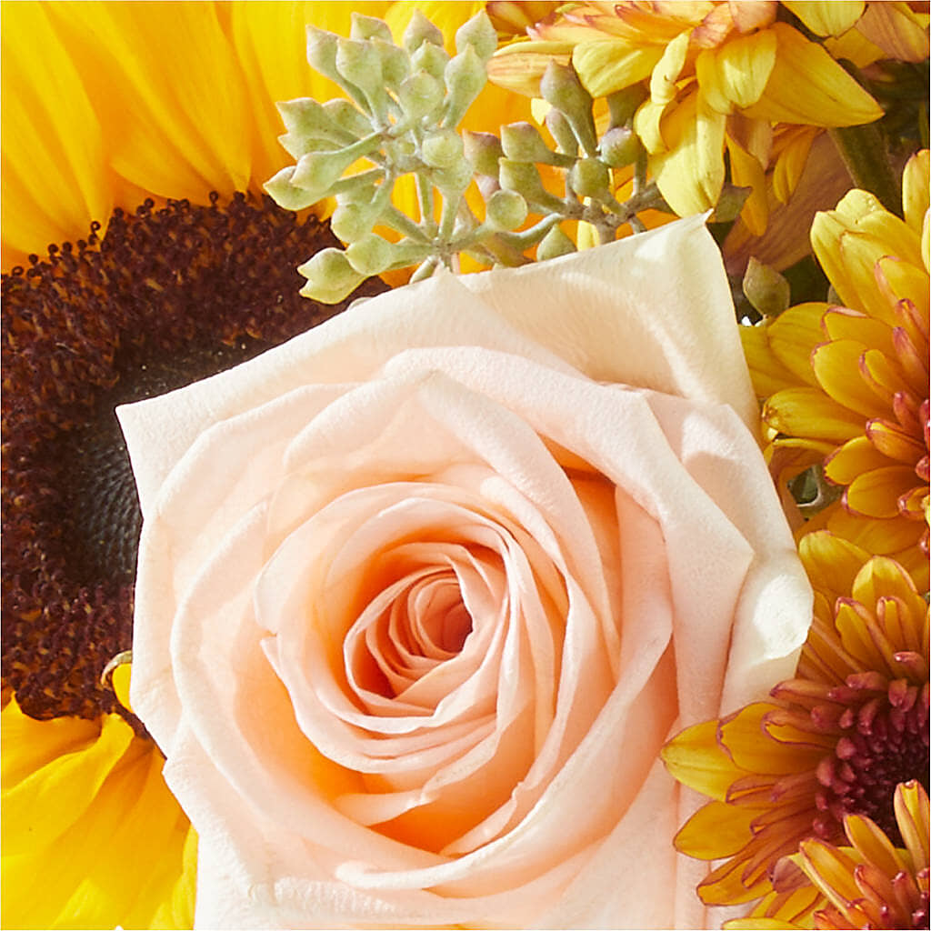 Pumpkin to Talk About Bouquet –  Zapateria Y Floreria Hernandez, San Jose CA