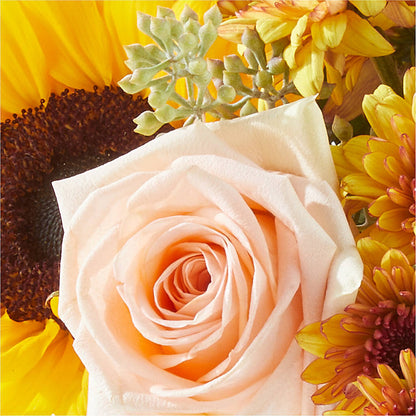 Pumpkin to Talk About Bouquet –  Zapateria Y Floreria Hernandez, San Jose CA