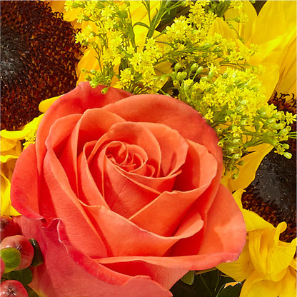 Pick of the Patch Pumpkin Bouquet –  Zapateria Y Floreria Hernandez, San Jose CA
