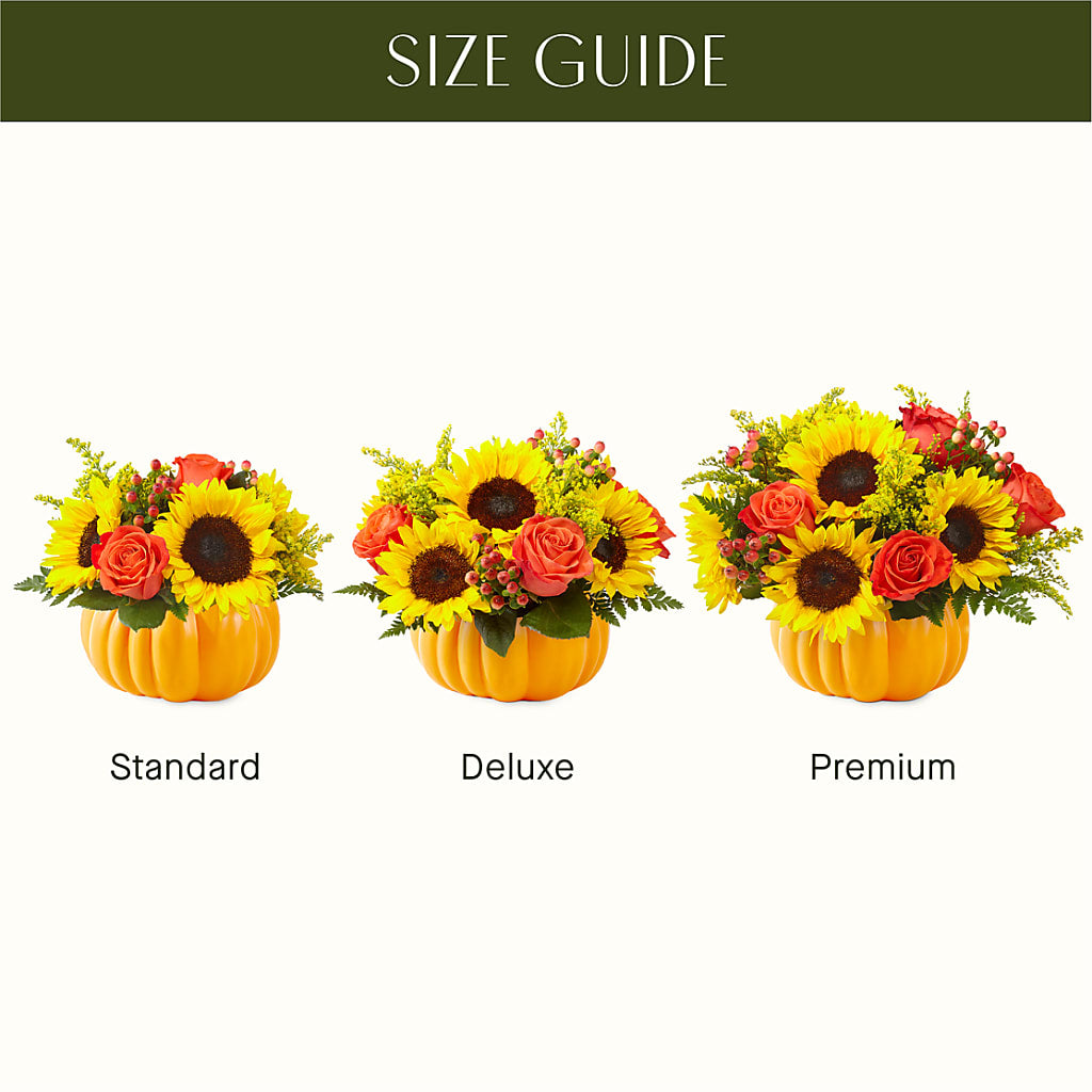 Pick of the Patch Pumpkin Bouquet –  Zapateria Y Floreria Hernandez, San Jose CA
