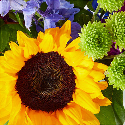 Catching Rays Bouquet –  Zapateria Y Floreria Hernandez, San Jose CA