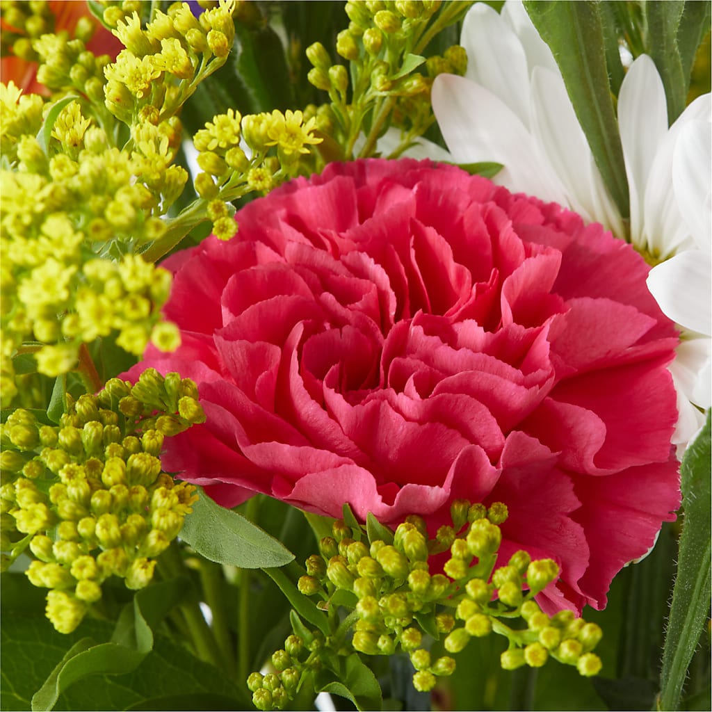 Oopsie Daisy Bouquet –  Zapateria Y Floreria Hernandez, San Jose CA