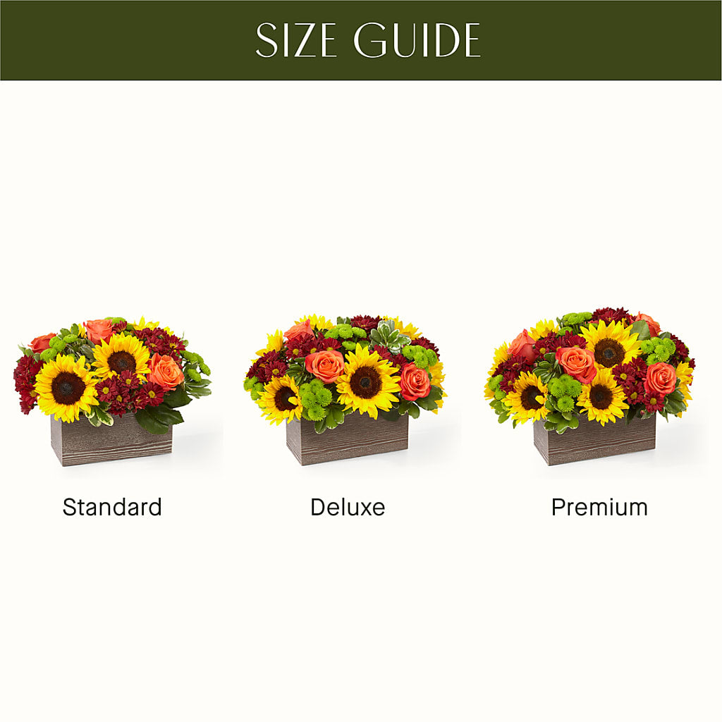 Happy Harvest Garden –  Zapateria Y Floreria Hernandez, San Jose CA