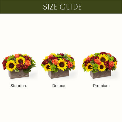 Happy Harvest Garden –  Zapateria Y Floreria Hernandez, San Jose CA