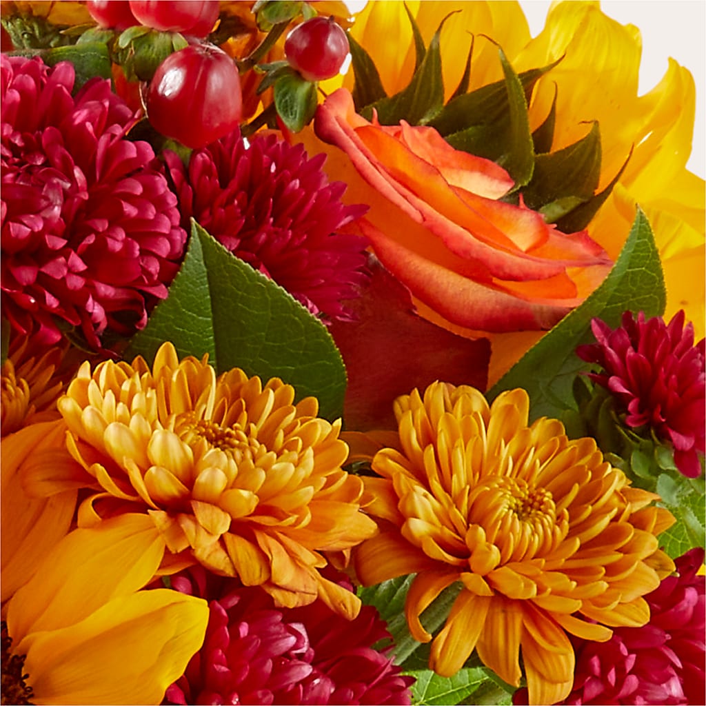 Sweater Season - A Florist Original –  Zapateria Y Floreria Hernandez, San Jose CA