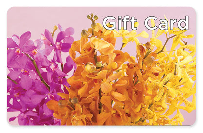Gift Card –  Zapateria Y Floreria Hernandez, San Jose CA