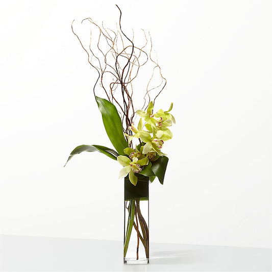 The Statement –  Zapateria Y Floreria Hernandez, San Jose CA
