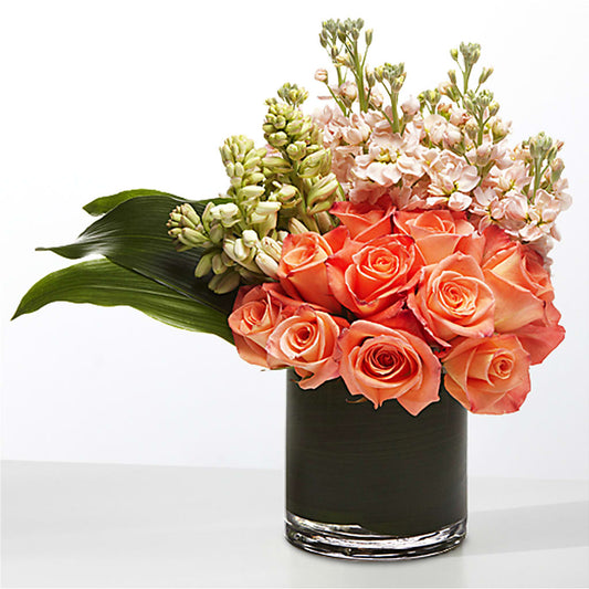 The Moment –  Zapateria Y Floreria Hernandez, San Jose CA