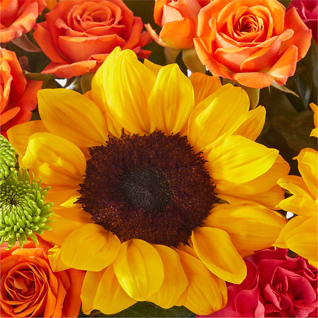 Sun-drenched Blooms Box Bouquet –  Zapateria Y Floreria Hernandez, San Jose CA