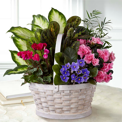 Peaceful Garden Planter –  Zapateria Y Floreria Hernandez, San Jose CA