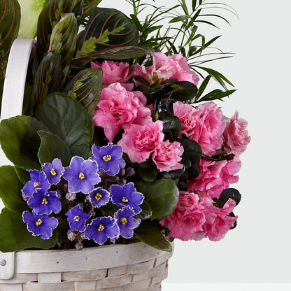 Peaceful Garden Planter –  Zapateria Y Floreria Hernandez, San Jose CA