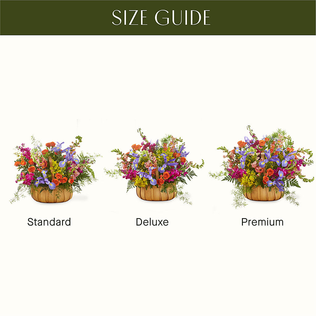 Garden of Life Basket –  Zapateria Y Floreria Hernandez, San Jose CA