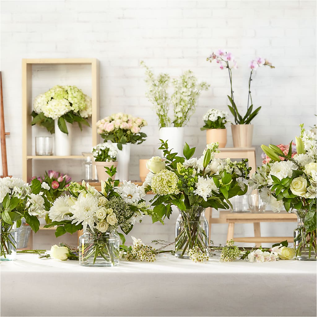 Classic Ivory – A Florist Original –  Zapateria Y Floreria Hernandez, San Jose CA