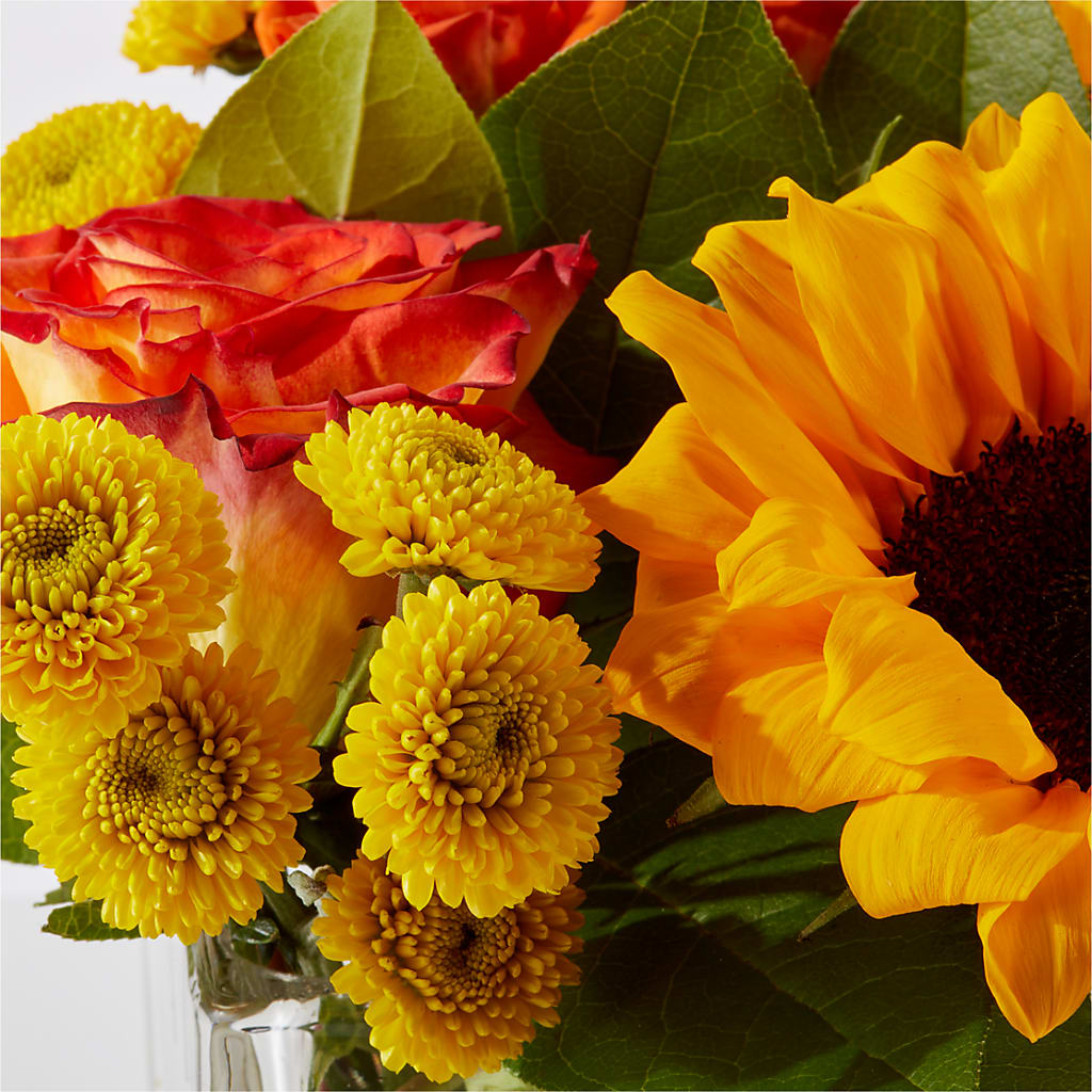Picnic in the Park Bouquet –  Zapateria Y Floreria Hernandez, San Jose CA