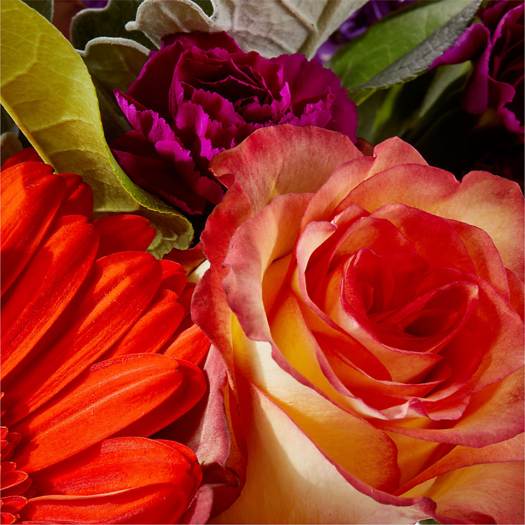 Sangria Bouquet –  Zapateria Y Floreria Hernandez, San Jose CA