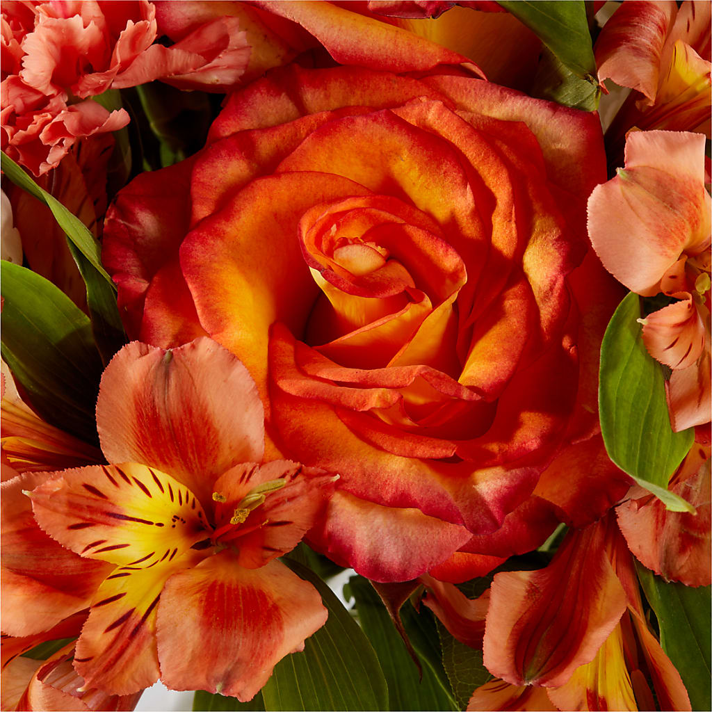 Apricot Glow Bouquet –  Zapateria Y Floreria Hernandez, San Jose CA
