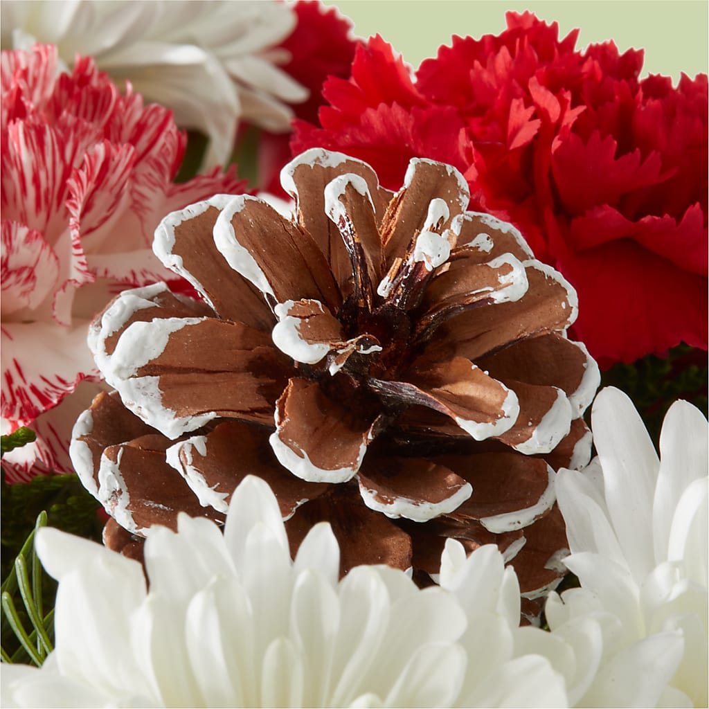 Candy Cane Lane Bouquet –  Zapateria Y Floreria Hernandez, San Jose CA
