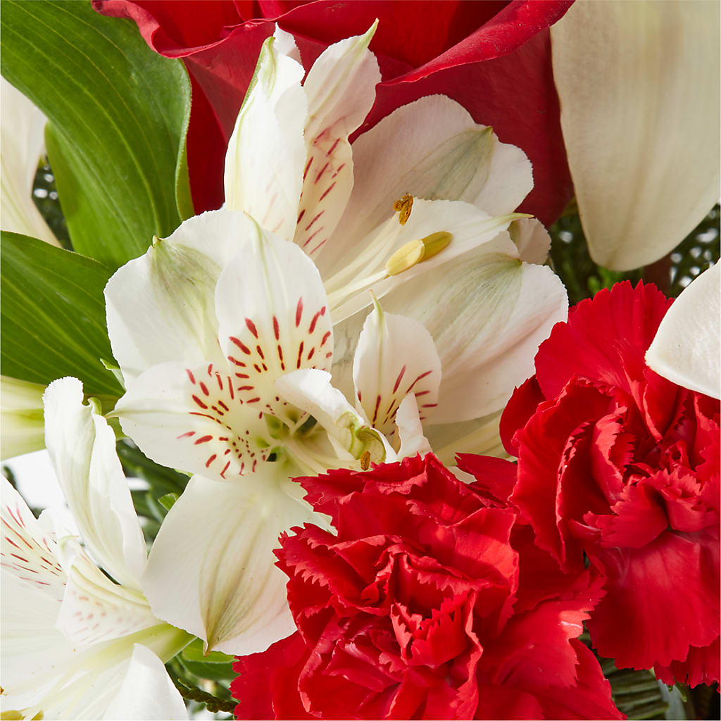 Holiday Season Bouquet –  Zapateria Y Floreria Hernandez, San Jose CA