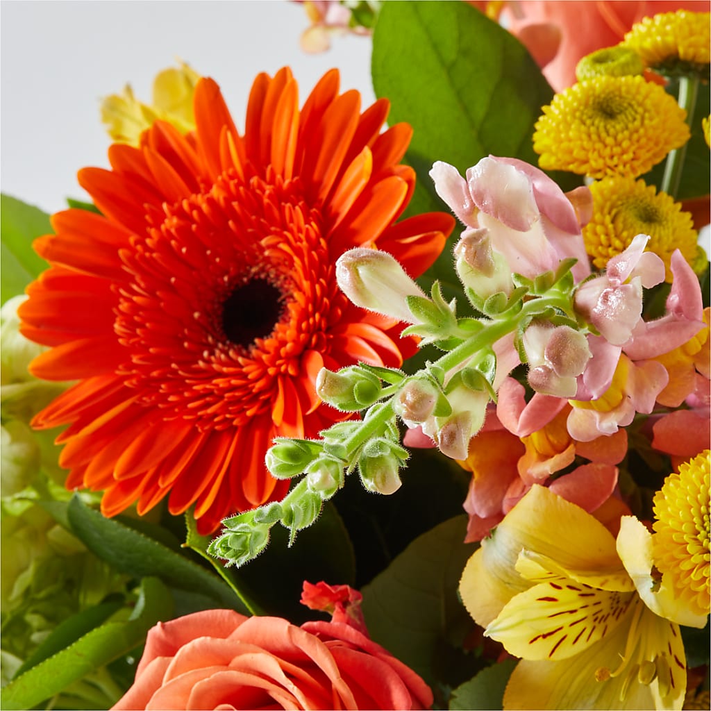 Autumn Sunshine Bouquet –  Zapateria Y Floreria Hernandez, San Jose CA
