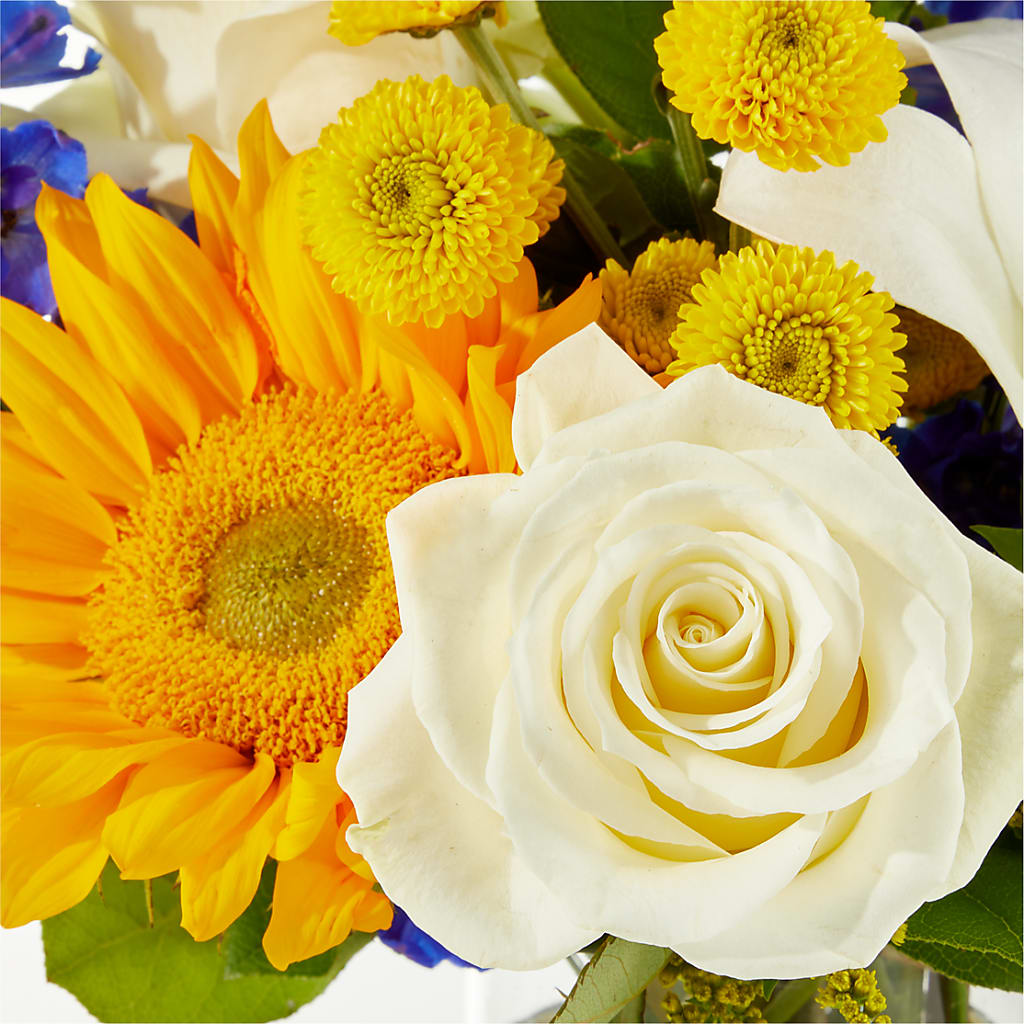 Stargazing Bouquet –  Zapateria Y Floreria Hernandez, San Jose CA