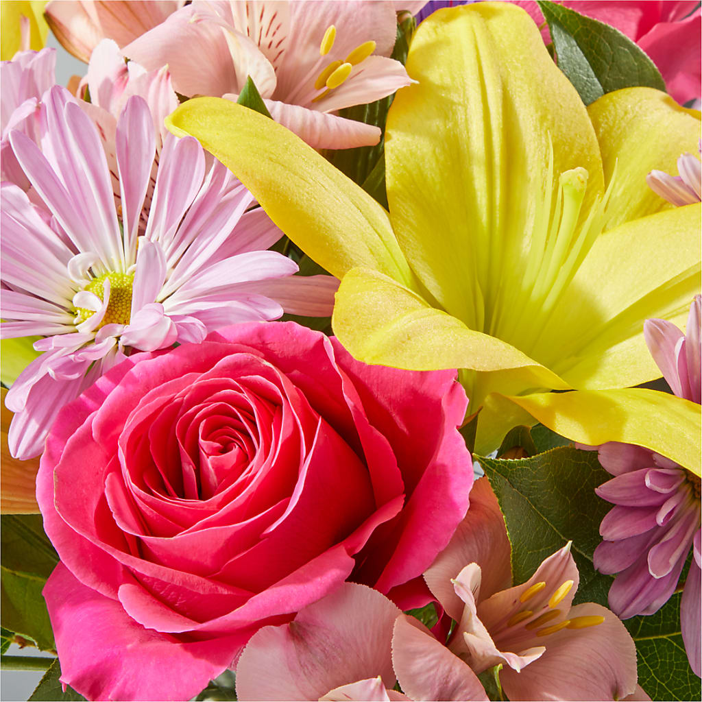 Sprinkles Bouquet –  Zapateria Y Floreria Hernandez, San Jose CA