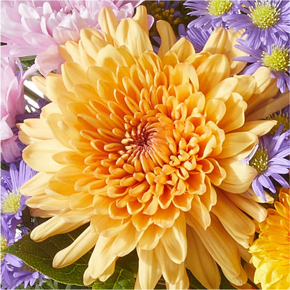 Countryside Bouquet –  Zapateria Y Floreria Hernandez, San Jose CA