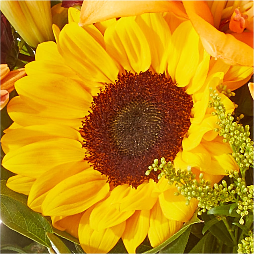 Seasons Change Bouquet –  Zapateria Y Floreria Hernandez, San Jose CA