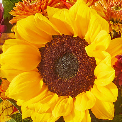 Sunny Side Bouquet –  Zapateria Y Floreria Hernandez, San Jose CA